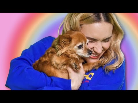 Au revoir Kitty