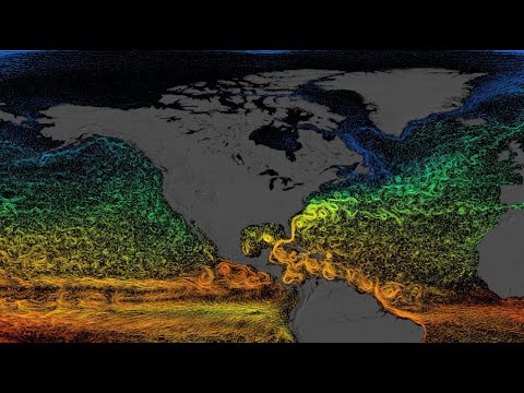 Ocean Collapse, Weird Quake, Weirder Animal Migration