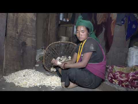 Working technology in village || Rural life