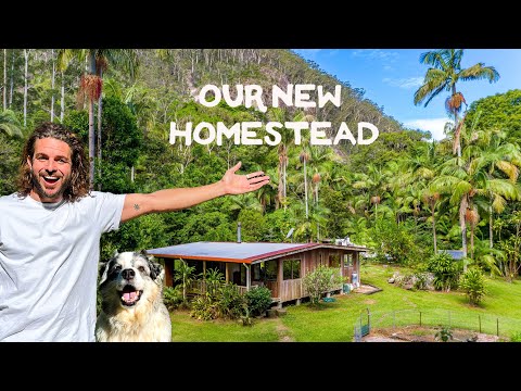 A different dream. FULL TOUR of my 5 acre property in the rainforest (&amp; future plans)