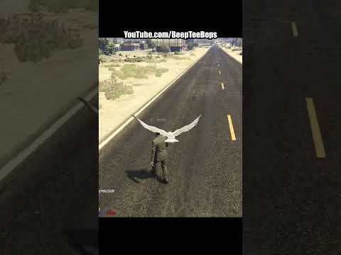 Seagull Wants French Fries (watch more in my channel)