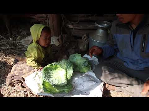 Organic village lifestyle || Primitive technology