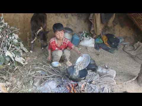 Myvillage official videos EP 222 || Primitive technology || Rural life