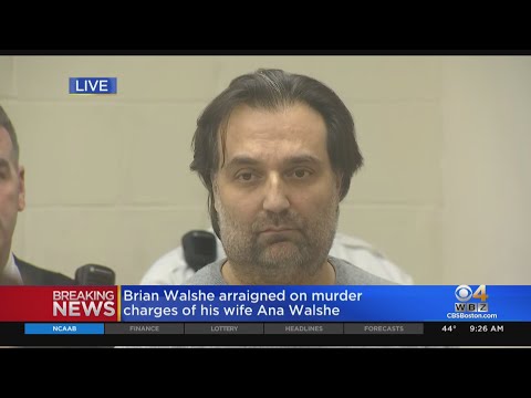 Gruesome details revealed in court as Brian Walshe charged with murdering wife Ana Walshe