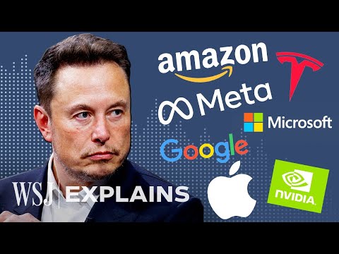 What Tesla’s Sliding Stock Says About Apple, Amazon and Other Big Tech Companies | WSJ