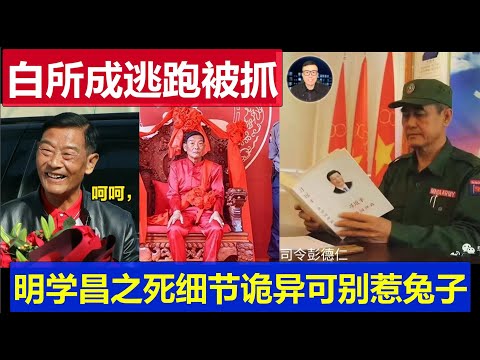 最新：白所成逃跑被抓回 明學昌之死曝細節詭異 緬北電詐四大家族家破人亡 千萬別惹兔子悔不當初