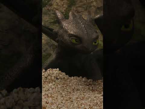 How To Train Your Dragon | Concessions