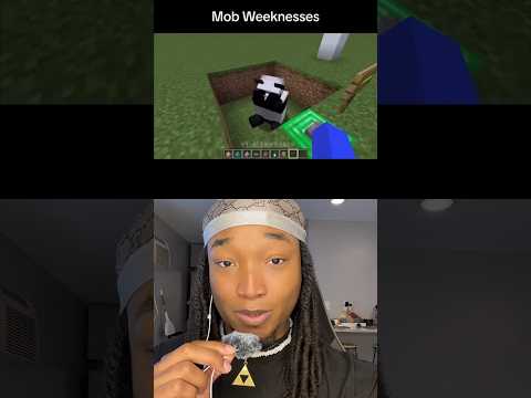 Every Minecraft Mobs Weakness