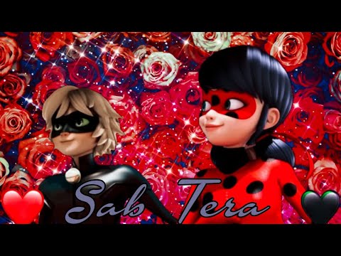 Sab tera amv miraculous ladybug marichat ladrien ladynoir adriennette