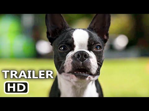 STRAYS Trailer (2023) Jamie Foxx, Will Ferrell