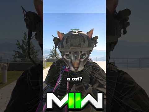MW2 - Cats with laser eyes 👀