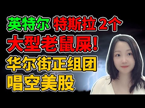 鸡构们 : 天天唱空总有一天会被说中！NaNa说美股(2024.01.25)