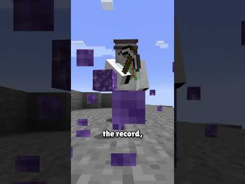 Minecraft&#039;s Most Refined Speedrun