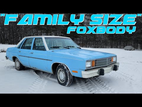 CHEAP V8 Ford Fairmont REVIVAL! Will it Run &amp; Drive?