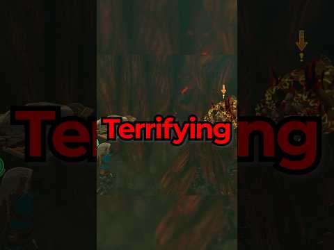 The Most TERRIFYING ENEMY in the Zelda Series…