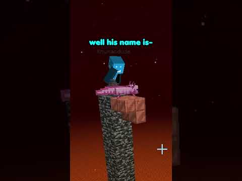 I hade a button #minecraft #minecraftshorts