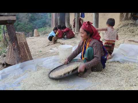 Daily activities in village || Primitive technology
