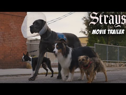 Strays | Red Band Movie Trailer | Will Ferrell, Jamie Foxx