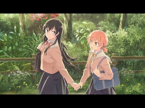 AMV- Beauté particulier