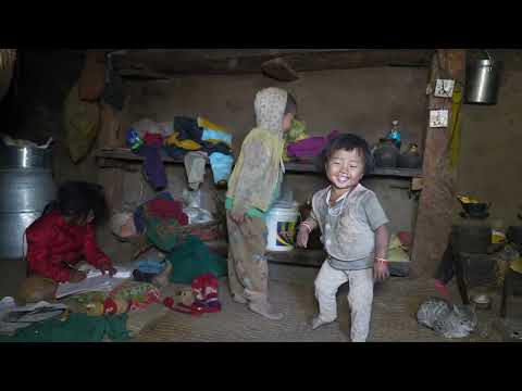 Organic village life in village || Traditional technology