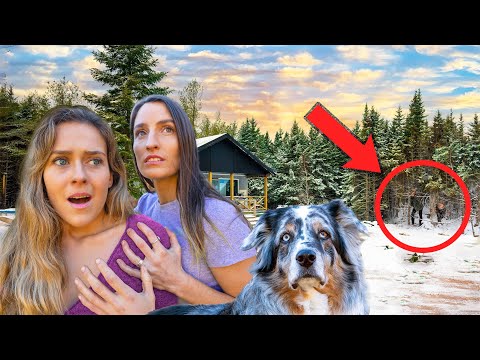 There’s Someone In Our Woods!!!