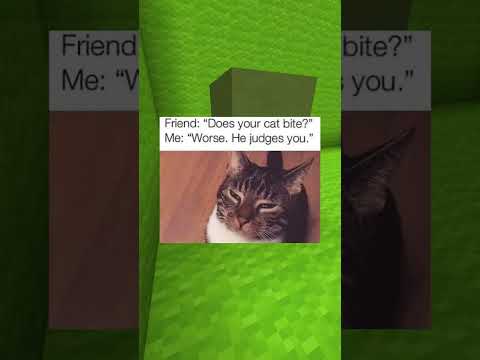 Cute Pet Memes #8