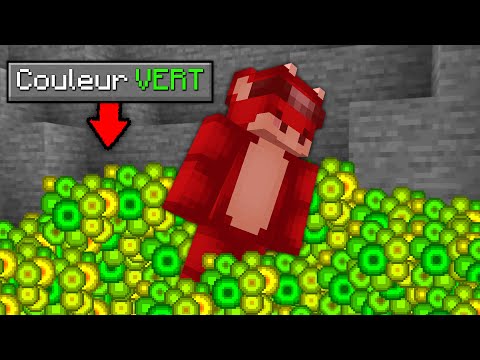 Si je Touche cette Couleur, Je meurs sur Minecraft..