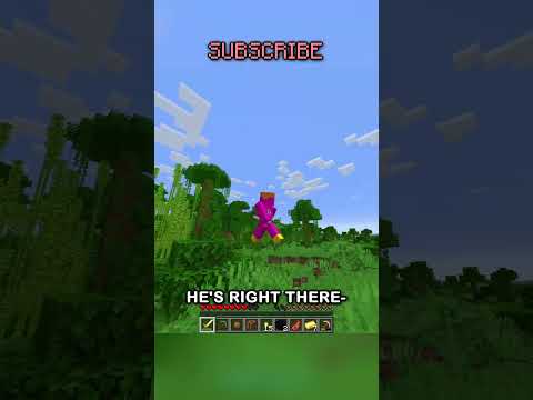 little morons chase me in minecraft
