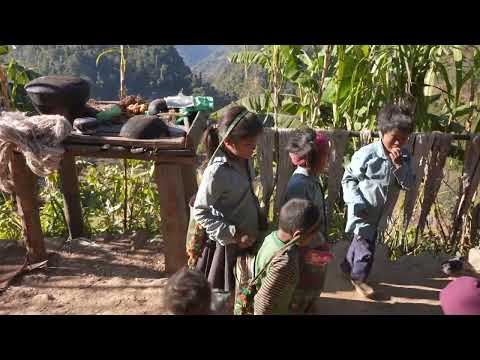 Traditional lifestyle || Primitive technology || Traditional life