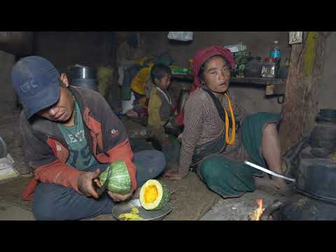 Cooking curry of Pumpkin by using primitive technology || Nepali Village