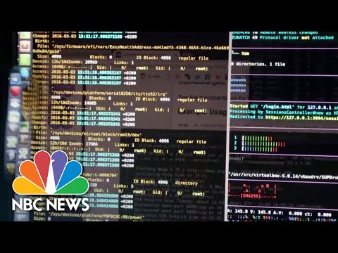 AI ‘race to recklessness’ could have dire consequences, tech experts warn in new interview