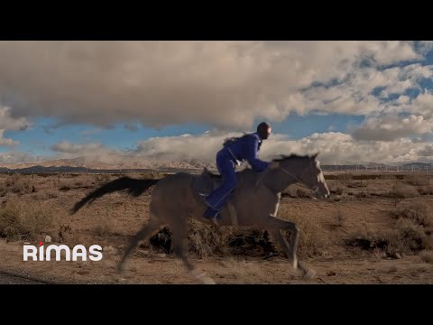 BAD BUNNY - NADIE SABE (Visualizer) | nadie sabe lo que va a pasar mañana