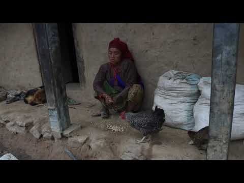 Myvillage videos EP 369 || Working technology in village
