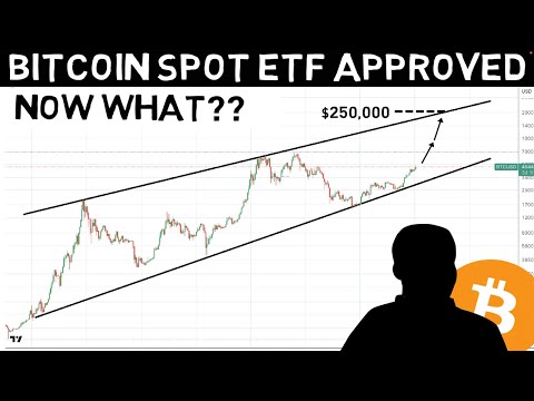 Bitcoin Spot ETFs Finally Approved!! BTC Expert Explains What will Happen in 2024!!!
