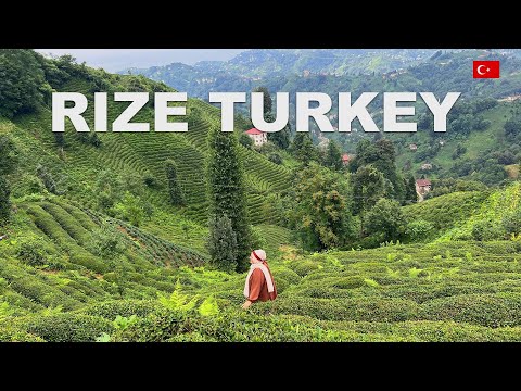 LIFE IN THE TURKISH VILLAGE 🏡 | CITY WHERE TEA PRODUCED 🍃| LIFE WITHOUT TECHNOLOGY📱
