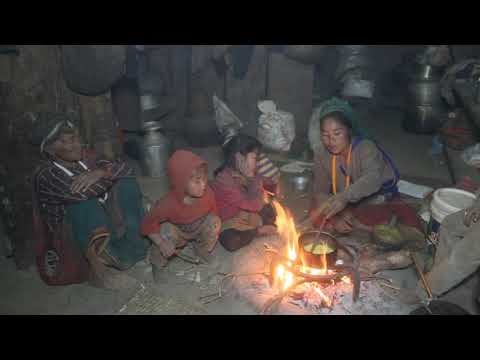 Myvillage official videos EP 242 || Primitive technology || Village lifestyle
