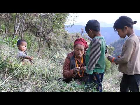 Myvillage official videos EP 302 || Farming technology in village