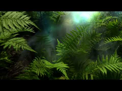 Melodic Dream | Premiere Progressive Melodic House/Techno Live Dj Music Mix