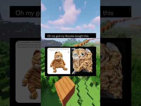 MEMES!