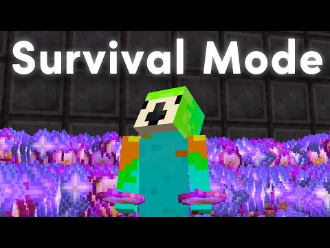 I Exposed the Server&#039;s Biggest Secret