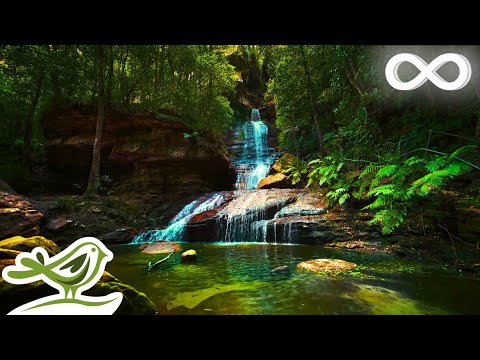 Relaxing Zen Music with Nature Sounds for Meditation, Spa, Sleep &amp; Relaxation