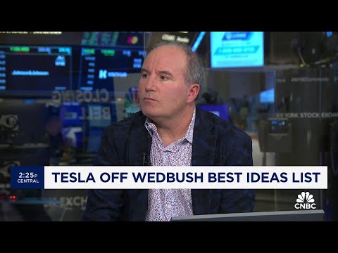 Here&#039;s why Wedbush&#039;s Dan Ives slashed his 12-month stock price target for Tesla